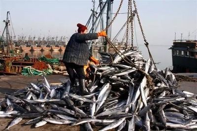 赋能深蓝 海洋渔业机械纳入农机补贴，助推产业现代化升级